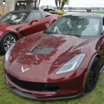 PlasticFantastic_025 (May 19, 2019)